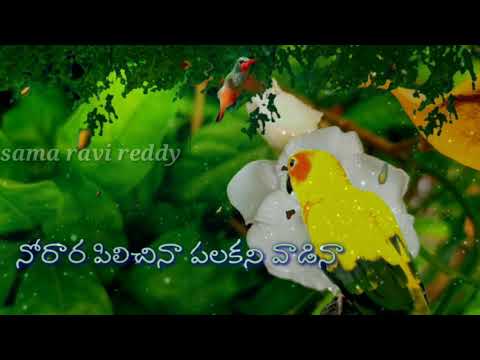 Norara pilichina....... Lyrics......Whats app status......Sama ravi reddy