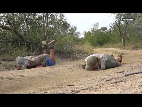 Djuma’s bloopers: When nature laughs back