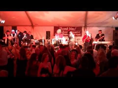 The Time Bandits - Rolling in the Deep (cover)