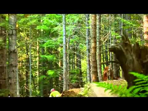 The Cat Empire   Two Shoes