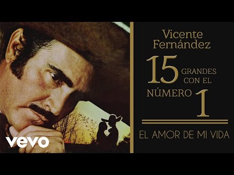 El Amor De Mi Vida - Vicente Fernández