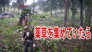 レッドデッドオンライン：薬草を集めていたら。 PK プレイヤーキル RDO RDR2 Red Dead Redemption 2