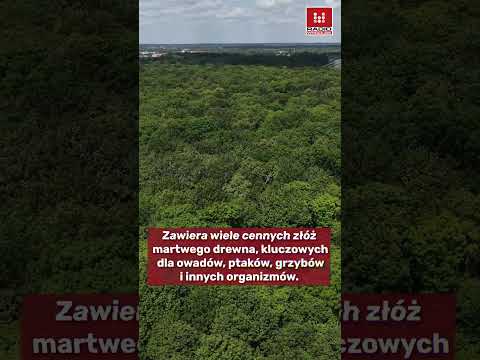To pierwszy rezerwat przyrody we Wrocławiu