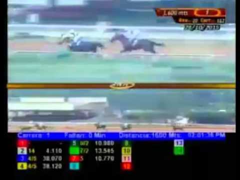 SANTA RITA 1 CARRERA, MIERCOLES 28 DE OCTUBRE DEL 2015