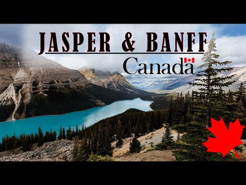 Landscapes and Wildlife of Banff & Jasper National Park, Canada in 4k
