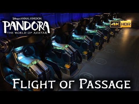 Animal Kingdoms Flight of Passage FULL POV in 4K