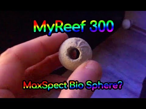 (124) Co za dużo też niezdrowo / Maxspect Bio Sphere - Akwarium morskie - Reef aquarium