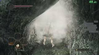 ds2 sotfs coffin% (hrt%) 1:59.09