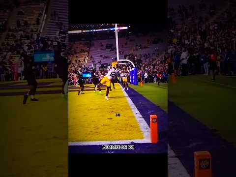 This throw and catch!! 🤯 | lsu4l1fe on IG | #lsufootball #highlights #edit #collegefootball #lsu