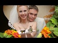 Живые бабочки для подарка на свадьбу, http://babochki.kiev.ua 