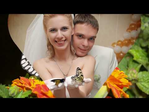 Живые бабочки для подарка на свадьбу., відео 1