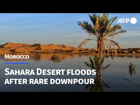 Rare Sahara floods bring Morocco's dried-up south back to life | AFP