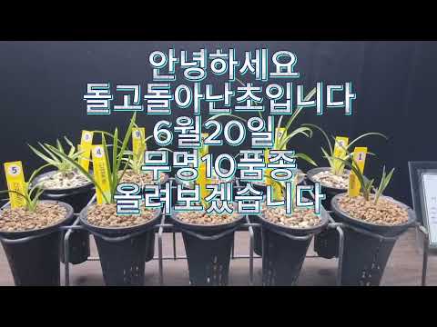 유튜브 썸네일