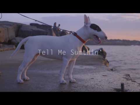 Pharis' B - Uptown Lover / Tell me sumthin'