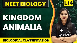 Kingdom Animalia | Biological Classification - L14 (Concepts) | NEET Biology