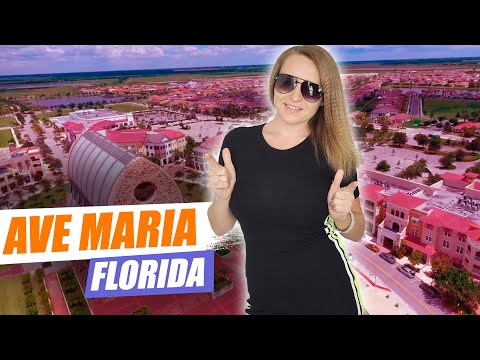 Ave Maria Florida Flyover | Homes for Sale