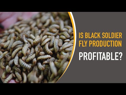 Is Potato Farming Profitable