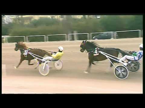 Trotto 28/01/2020 - 2ª corsa