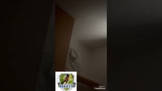 M. Legado 70