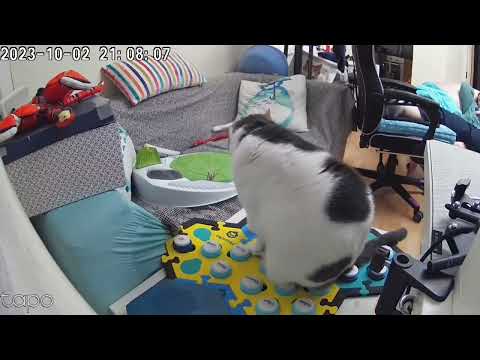 How does Sabriel say "are you busy"?