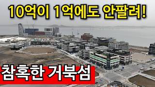 경기도 시흥시 거북섬로 경기도 시흥시 자영업 폐업률 99% | 유령만 살고있는 신도시,  거북 영상 썸네일