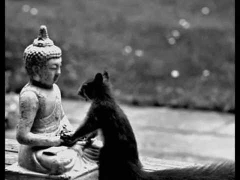 Meditación Tonglen: Compasión para reducir la ansiedad y la angustia
