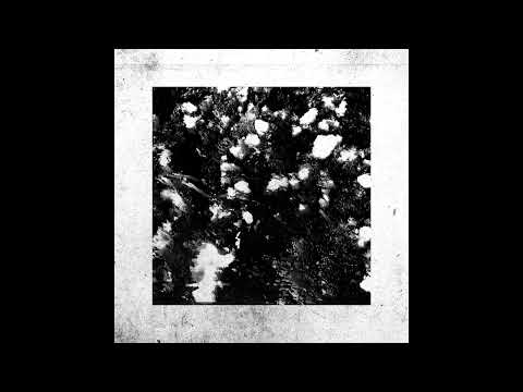 Indefinite Pitch premieres. CTAFAD - Chiaroscuro (Atomic Moog Remix) [GSXS]