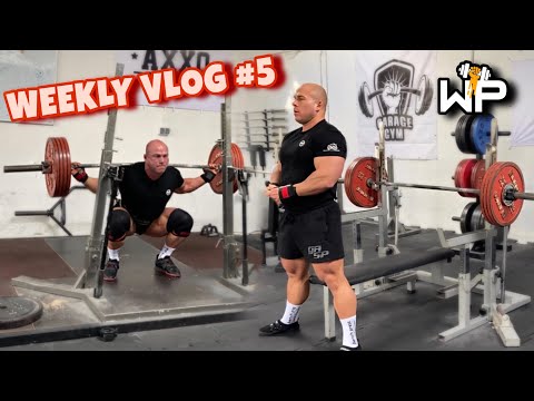 WEEKLY VLOG #5 - ostatnie 5 tygodni