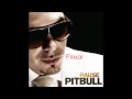 Pitbull - Pause (With Lyrics)