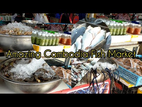 Amazing Cambodia Fish Market - Variety of Meats Selling in Phnom Penh.