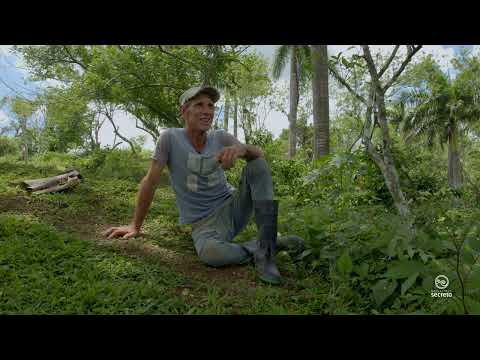ASFIXIA: CAMPESINO SAGUA TANAMO