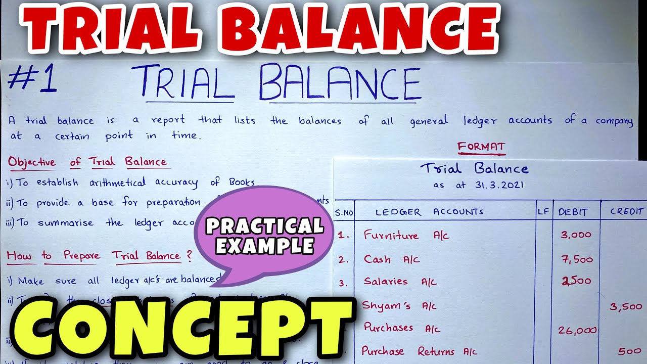 Trial Balance - Concept & Problem - Class 11 / B.COM / CA Foundation