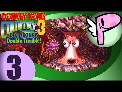 Donkey Kong Country 3 (pt.3)- Full Stream [Panoots] + Art