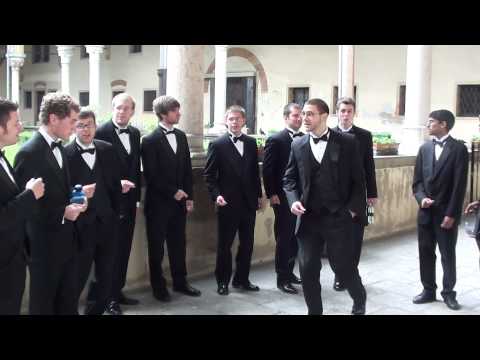 acapella shboom pittsburgh panther rhythms