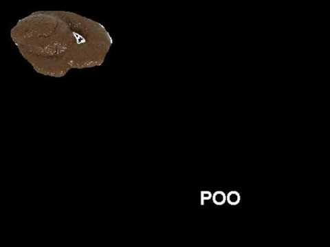 The Poo Song