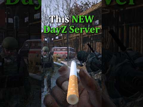 This NEW DayZ Server is AWESOME ❗
