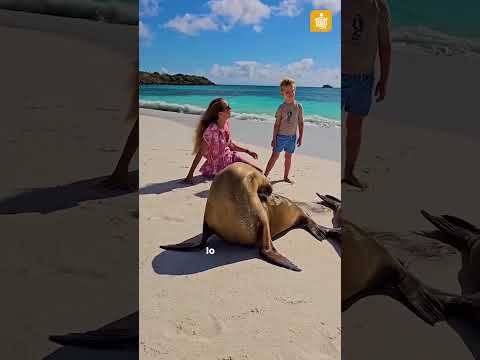 🇪🇨 El mundo entero sueña con conocer Galápagos. 𝗧𝘂́ 𝗹𝗼 𝘁𝗶𝗲𝗻𝗲𝘀 𝗲𝗻 𝗘𝗰𝘂𝗮𝗱𝗼𝗿.