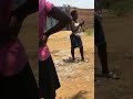 Imbwa Dzoruma Vanhu MuBorrowdale A Must Watch Subscribe To This Channel