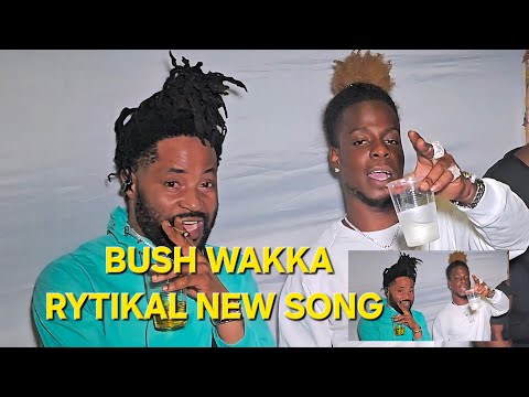 BUSH WAKKA RYTIKAL NEW SONG A SHELL DUNG PARTYS BOASTY TUESDAYS