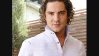 DAVID BISBAL CONTIGO EN LA DISTANCIA Translation in english