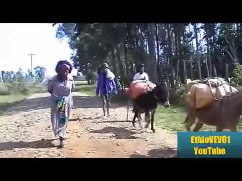 ዘነበች ታዴ - ቅርብኝ ( አሪፍ ባህላዊ ሙዚቃ)