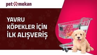 Yavru Köpeğinizin İlk Alışverişi: Neler Almalısınız? 🛒🐶 #köpek #köpekl