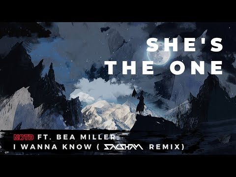 NOTD ft. Bea Miller - I Wanna Know (Saksham Remix)