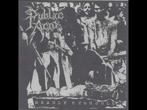 Public Acid - Deadly Struggle LP (2024)