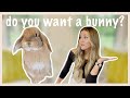 5 Things to Consider BEFORE You Get a Rabbit