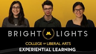 2017 UMNCLA Bright Lights: Experiential Learning
