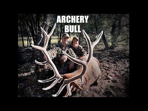 Arizona Archery Bull Elk Hunt 