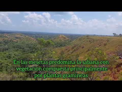 Valle del Río Guanipa  visto desde Carisito Municipio Aguasay del estado Monagas 