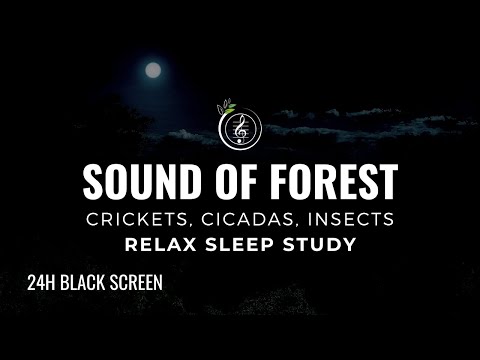 Sound of FOREST, Crickets, Cicadas, Insects | 24h NATURE SOUND FOR SLEEP, MEDITATION, & FOCUS 🌿🌙