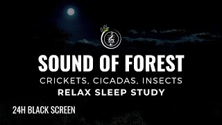 Download lagu Sound of FOREST Crickets Cicadas Insects 24h NATUR... mp3